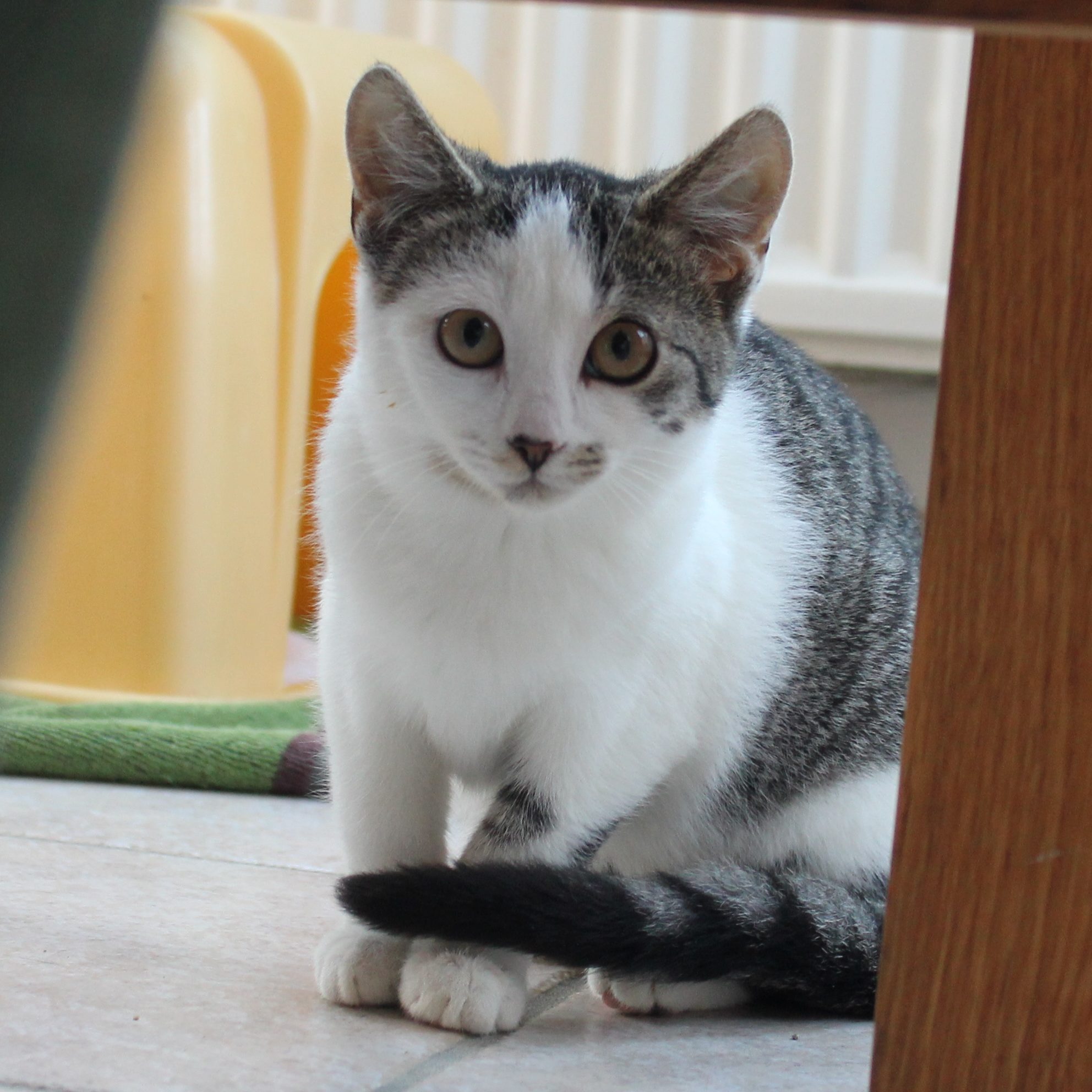 Mathilda (2)