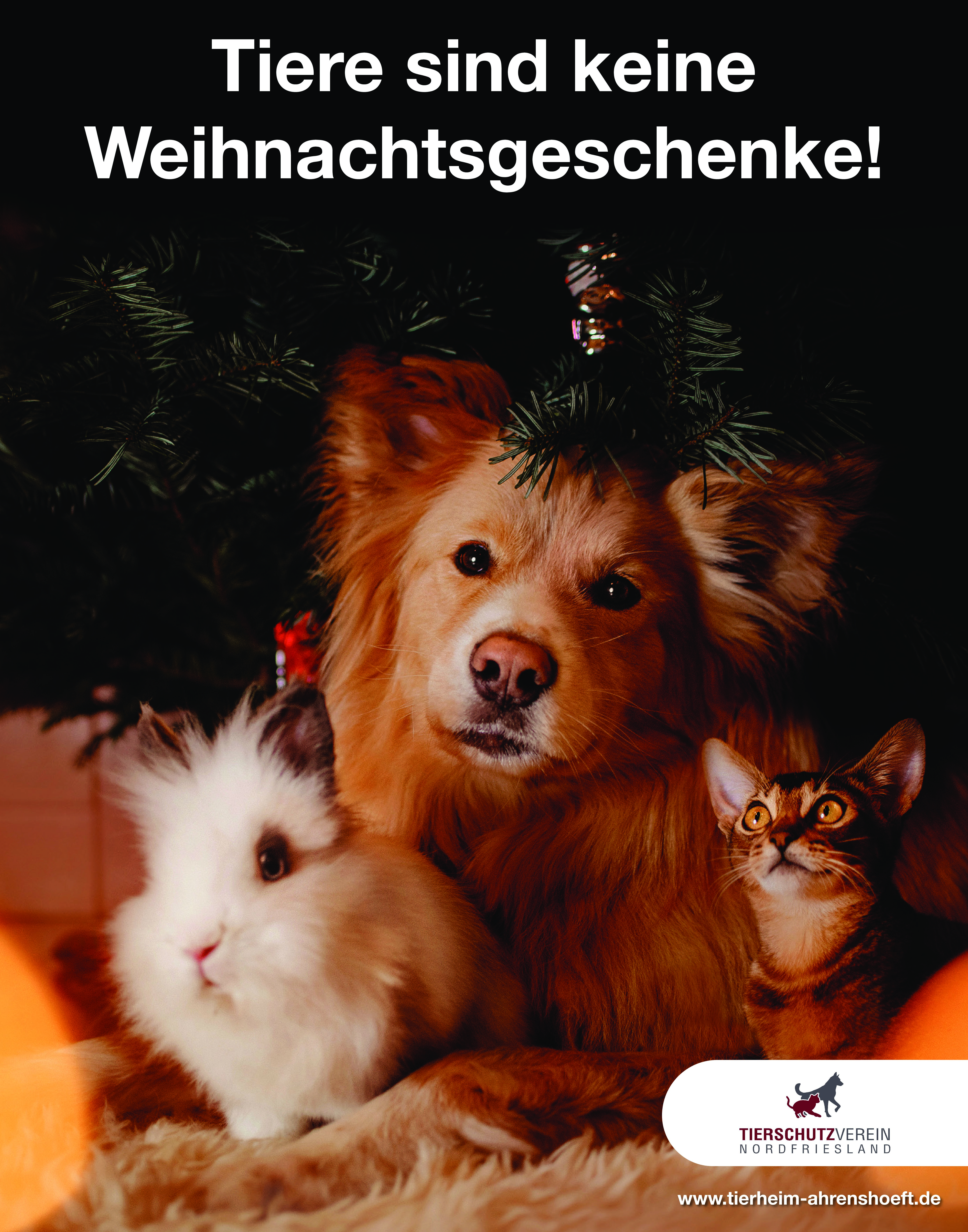 Plakat_1100x1400