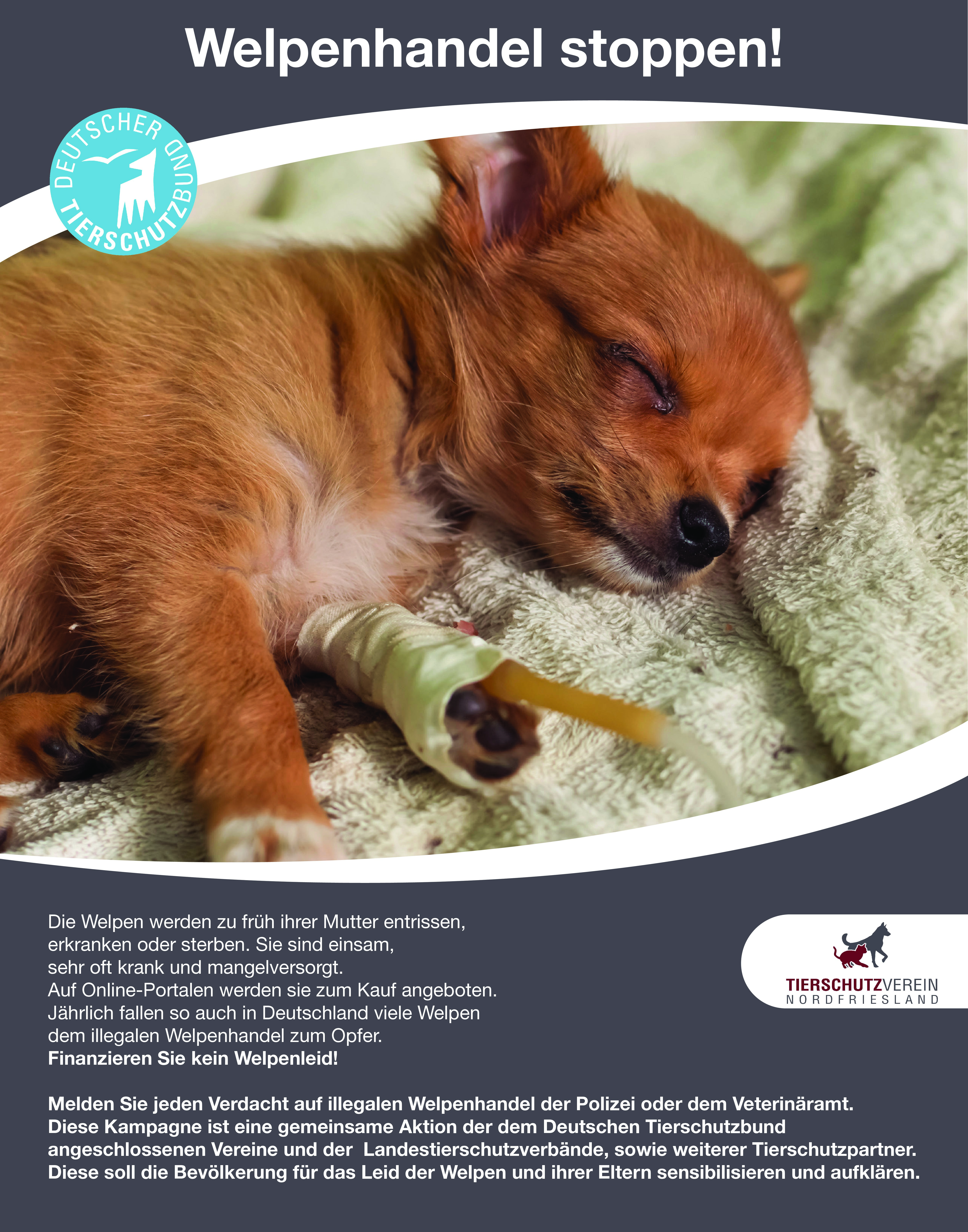 Plakat_1100x1400
