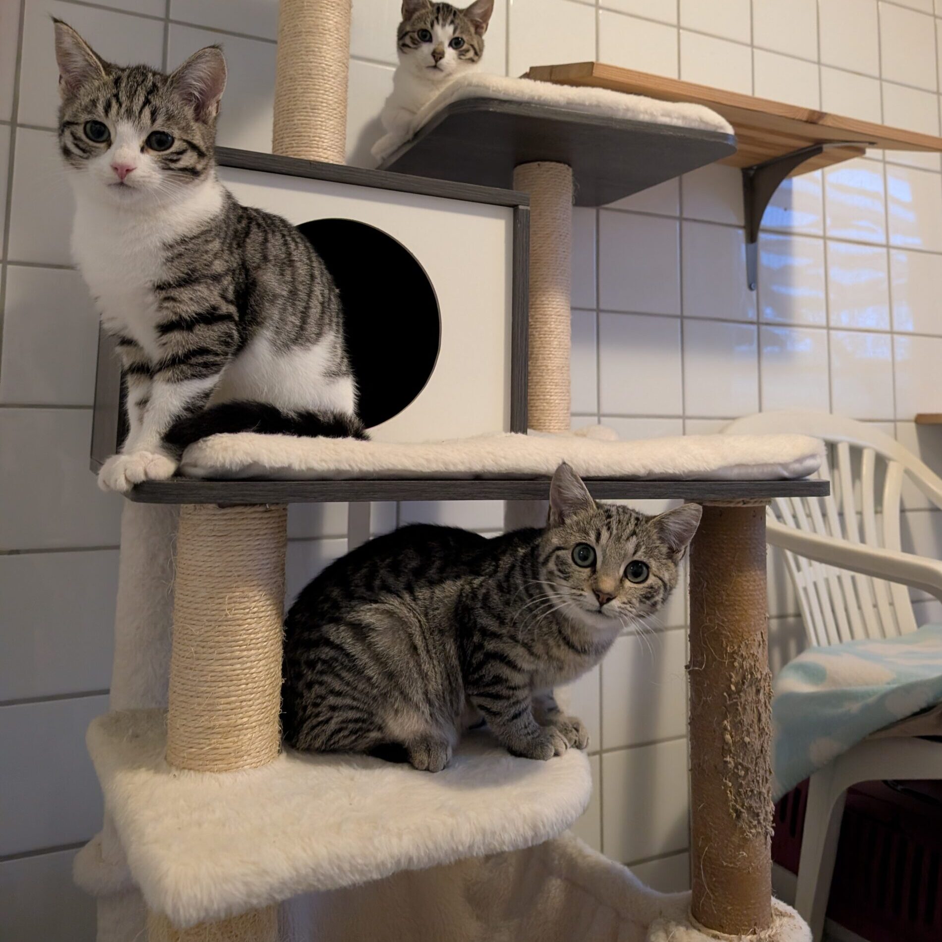 PXL_20260101_143820157