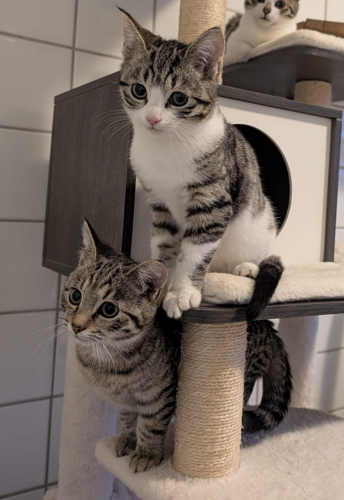 PXL_20260101_143952487