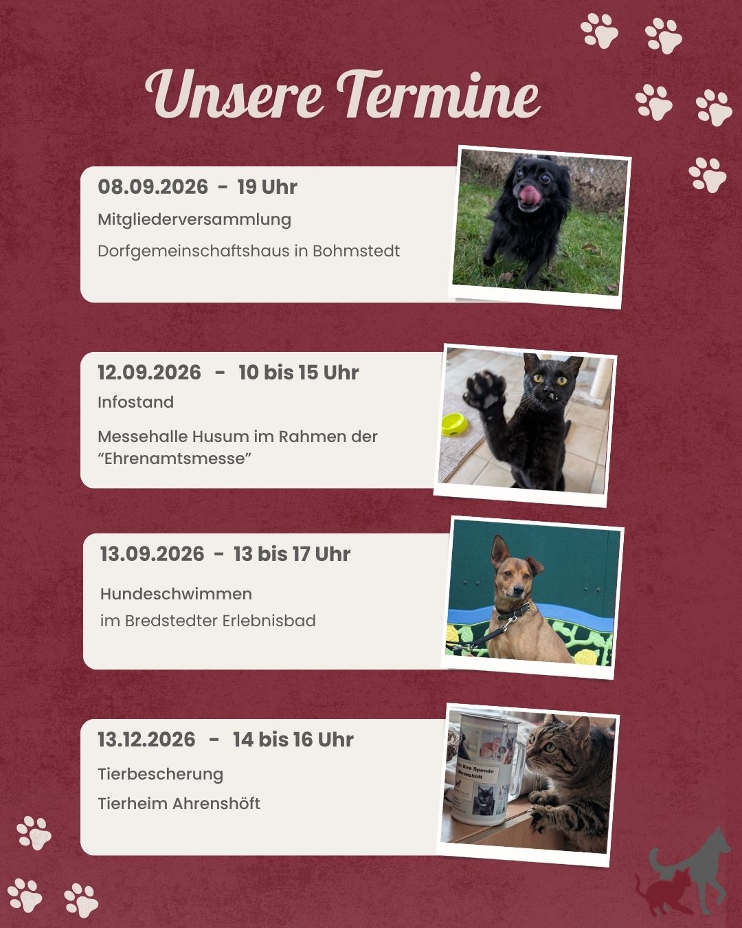 Kopie von Termine 2026